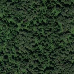 Satellite imagery of Мызы, RU