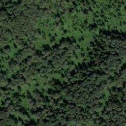 Satellite imagery of Мызы, RU