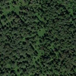 Satellite imagery of Мызы, RU