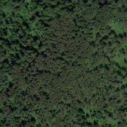 Satellite imagery of Мызы, RU