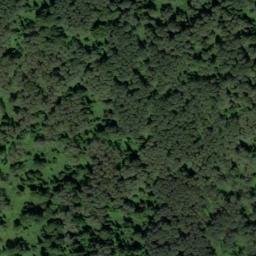 Satellite imagery of Мызы, RU