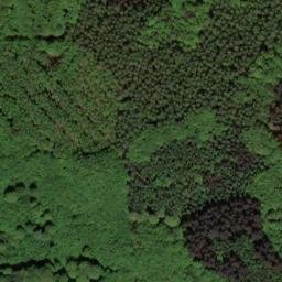 Satellite imagery of Friedrich-Franz-Höhe, DE