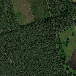 Satelita