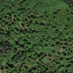 Satellite imagery of Friedrich-Franz-Höhe, DE
