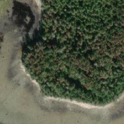 Satellite imagery of Goschen Point, CA