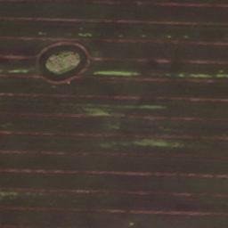 Satellite imagery of Wahrsberg, DE
