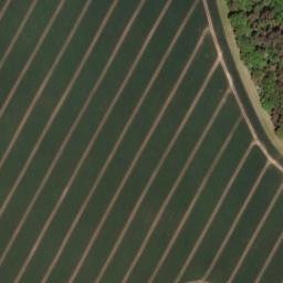 Satellite imagery of Eichberg, DE