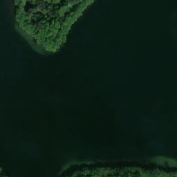 Satelita