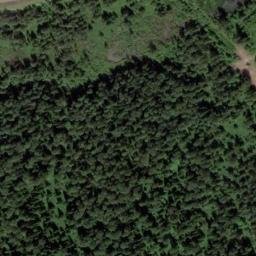 Satellite imagery of Болотный, RU