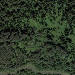Satellite imagery of Болотный, RU