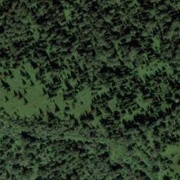 Satellite imagery of Болотный, RU