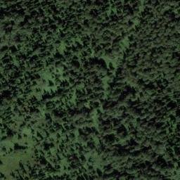 Satellite imagery of Болотный, RU