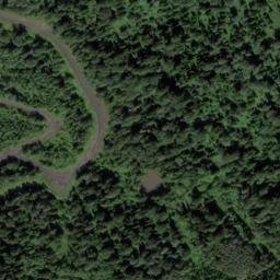 Satellite imagery of Болотный, RU