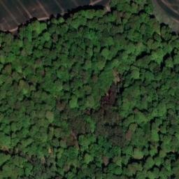 Satellite imagery of Harkenberg, DE
