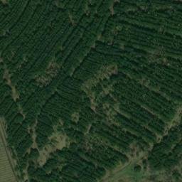 Satellite imagery of Трактовая, KZ