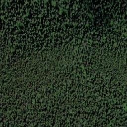 Satellite imagery of Spring Mountain, CA