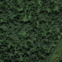 Satellite imagery of Кедровый, RU