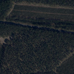Satelita