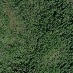 Satellite imagery of Spicer Point, CA