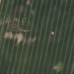 Satellite imagery of Pflaumenberg, DE