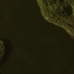 Satelita