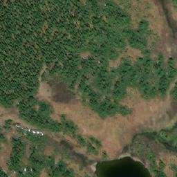Satellite imagery of Forgetmenot Pass, CA