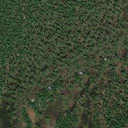 Satellite imagery of Forgetmenot Pass, CA