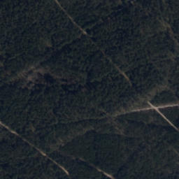 Satelita