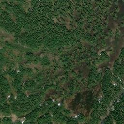 Satellite imagery of Forgetmenot Pass, CA
