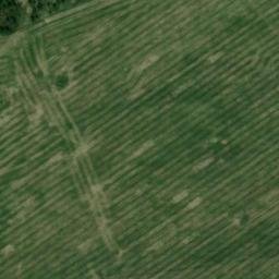 Satellite imagery of Боровково, KZ