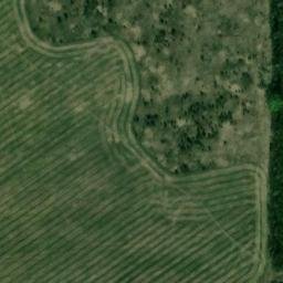 Satellite imagery of Боровково, KZ