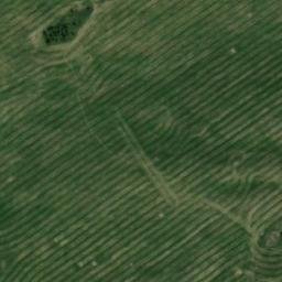 Satellite imagery of Боровково, KZ