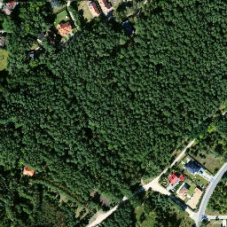 Satelita