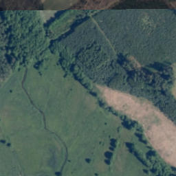 Satelita
