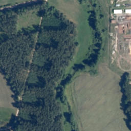 Satelita
