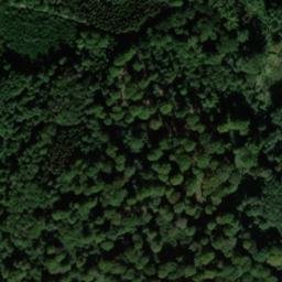 Satellite imagery of Mühlenberg, DE