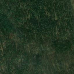 Satelita