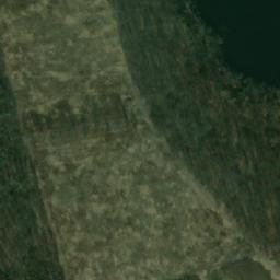 Satelita
