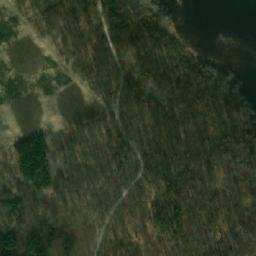 Satelita