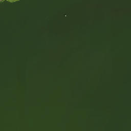 Satelita