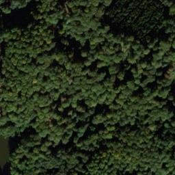 Satellite imagery of Buchenberg, DE