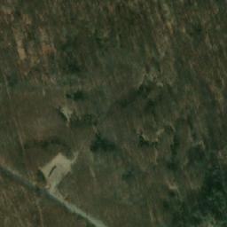 Satelita