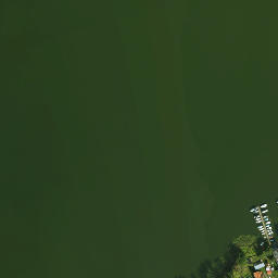 Satelita