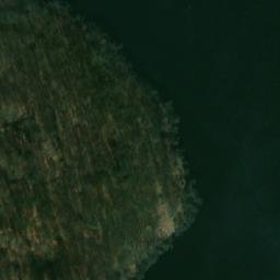 Satelita