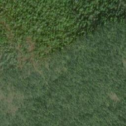 Satellite imagery of Silas Point, CA