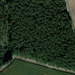 Satellite imagery of Wadelsberg, DE