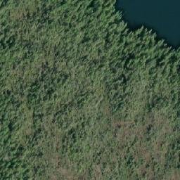 Satellite imagery of Robinson Point, CA