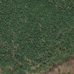Satellite imagery of Morkill Pass, CA