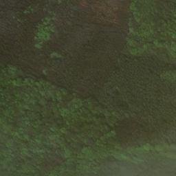 Satellite imagery of Tannenberg, DE