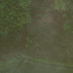 Satellite imagery of Tannenberg, DE